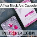 Africa Black Ant Capsule 32